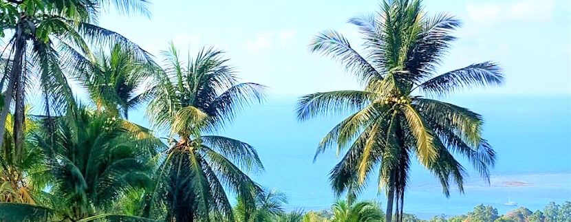 For sale sea view land Lamai in Koh Samui 014