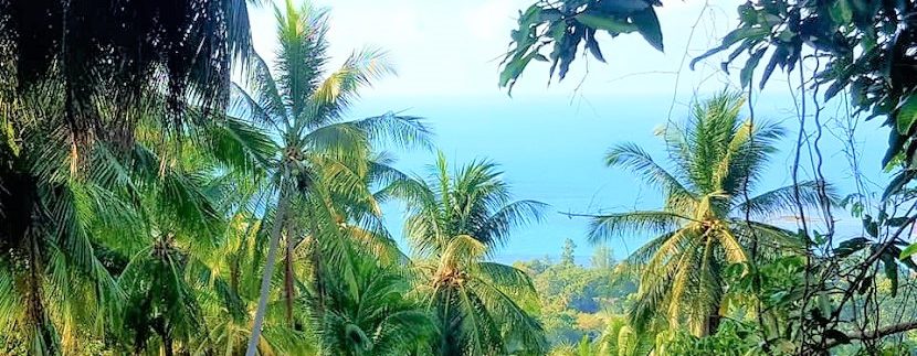 For sale sea view land Lamai in Koh Samui 015