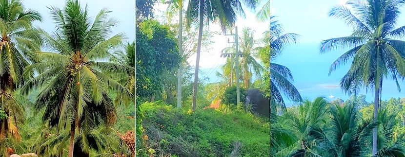 For sale sea view land Lamai in Koh Samui 07