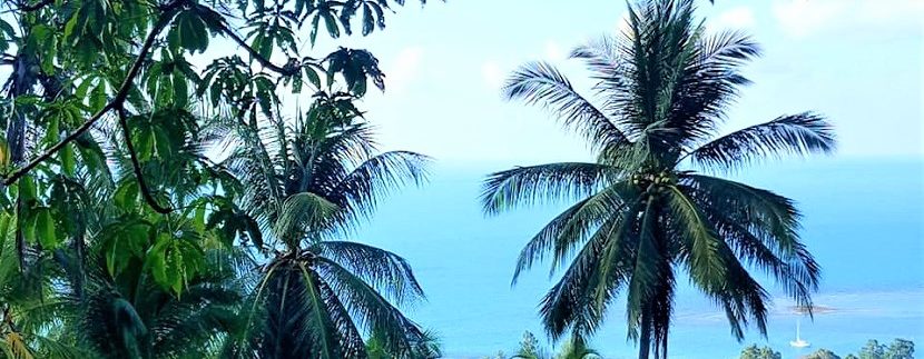 For sale sea view land Lamai in Koh Samui 09