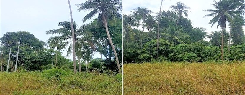 A vendre terrain à Bang Kao Koh Samui 02