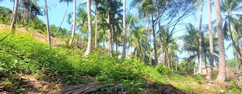 A vendre terrain à Bang Por Koh Samui 05