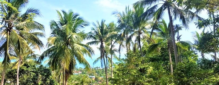 A vendre terrain à Bang Por Koh Samui 08