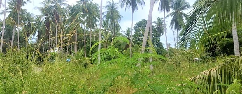 Land for sale in Bang Kao Koh Samui 01