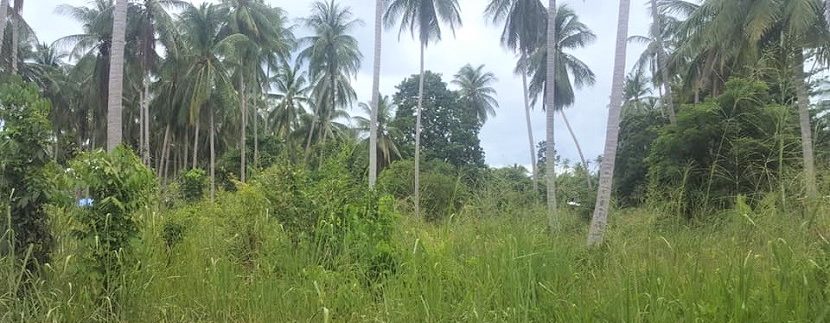 Land for sale in Bang Kao Koh Samui 02