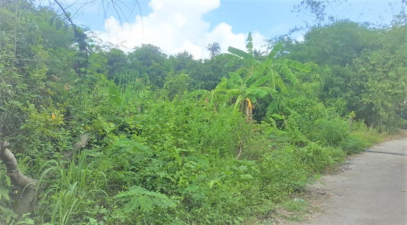 Flat land for sale in Maenam