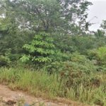 Flat land for sale in Bangrak Koh Samui