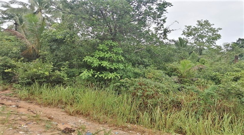 Flat land for sale in Bangrak