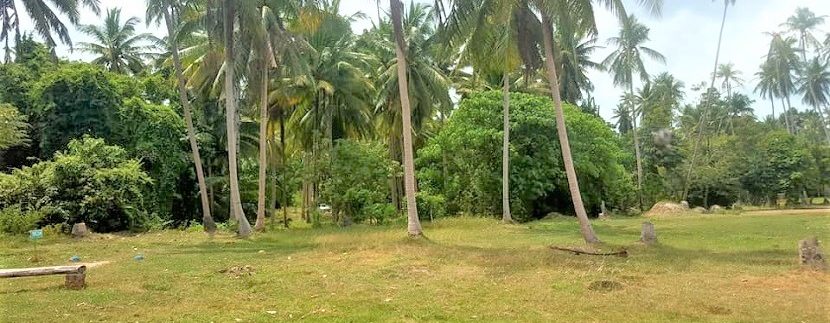 Terrain vue mer Laem Sor à Koh Samui à vendre 03