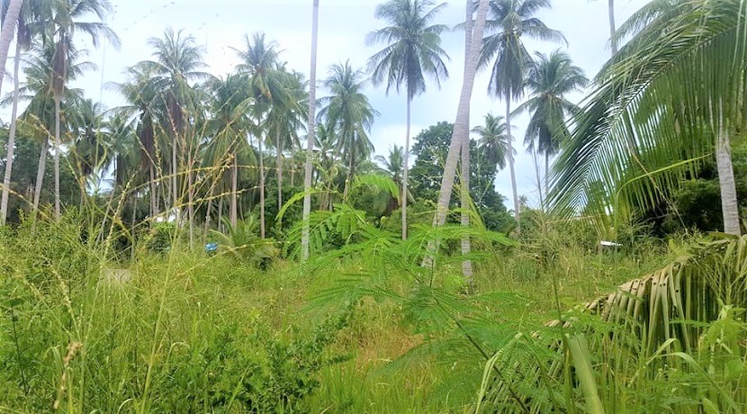 Terrain à vendre à Bang Kao Koh Samui