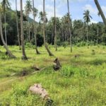 For sale land Maenam Soi 1 in Koh Samui