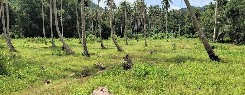 A vendre terrain Maenam Soi 1 à Koh Samui 01