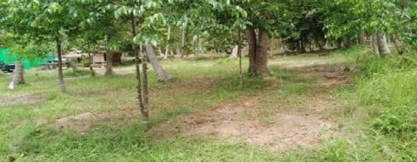 For sale land in Ban Tai Koh Samui 01