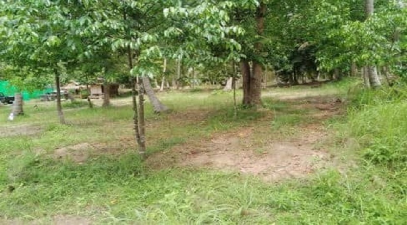 For sale land in Ban Tai