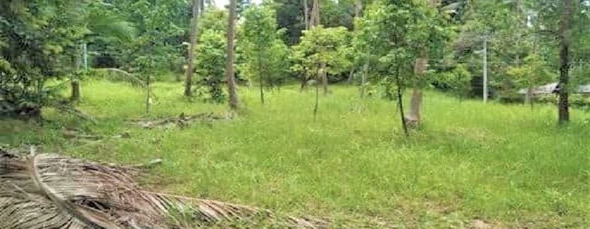 For sale land in Ban Tai Koh Samui 02