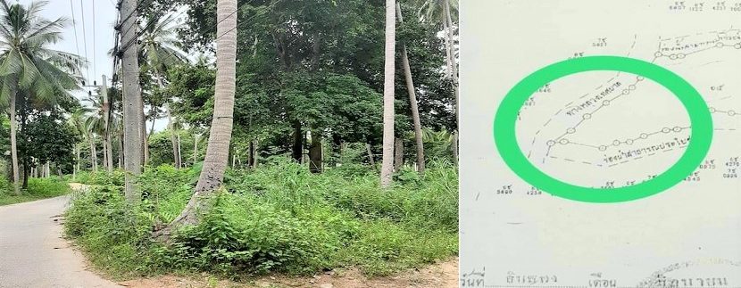 For sale land in the center of Chaweng in Koh Samui 05