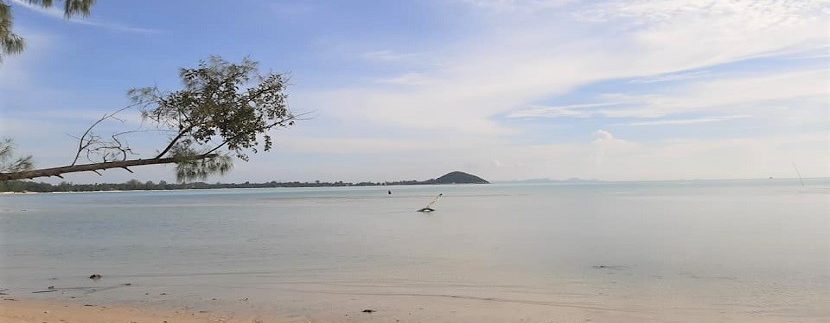 For sale land by the sea in Lipa Noi Koh Samui 01B