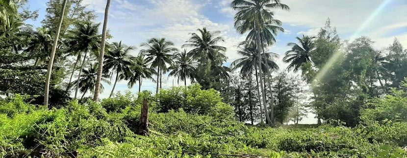 A vendre terrain en bord de mer à Lipa Noi Koh Samui 07