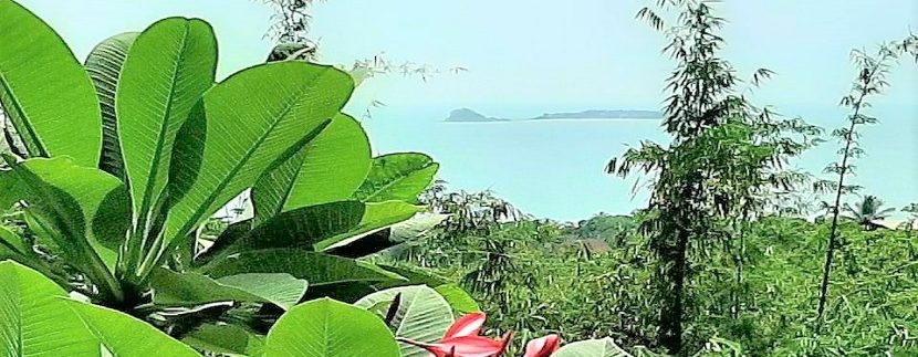 For sale land with sea view Bophut in Koh Samui 05