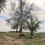 Land for sale beachfront Lipa Noi in Koh Samui