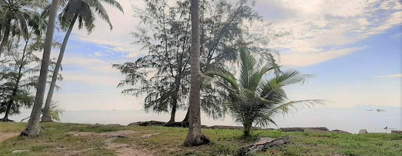 Land for sale by the sea Lipa Noi in Koh Samui 01