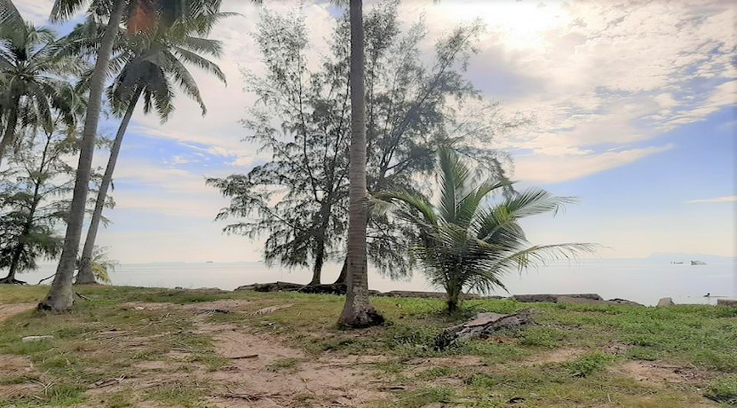 Terrain à vendre bord de mer Lipa Noi à Koh Samui