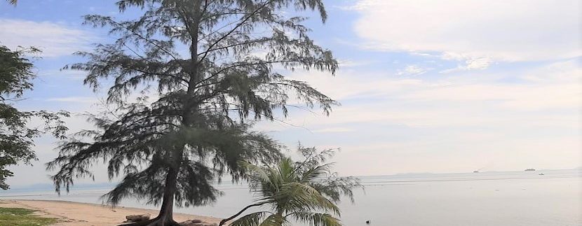 Land for sale by the sea Lipa Noi in Koh Samui 010