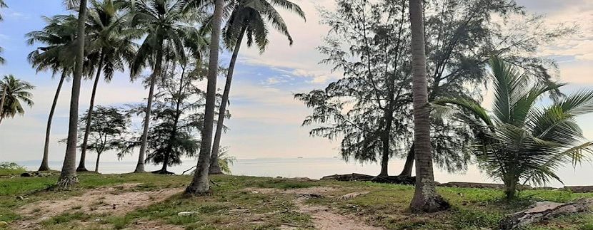 Land for sale by the sea Lipa Noi in Koh Samui 03