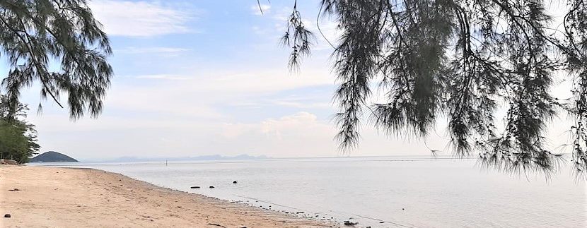 Land for sale by the sea Lipa Noi in Koh Samui 07