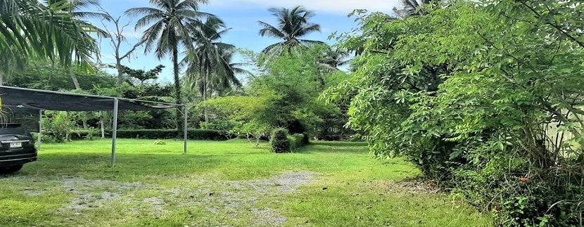 Seaside land for sale in Lipa Noi Koh Samui 021