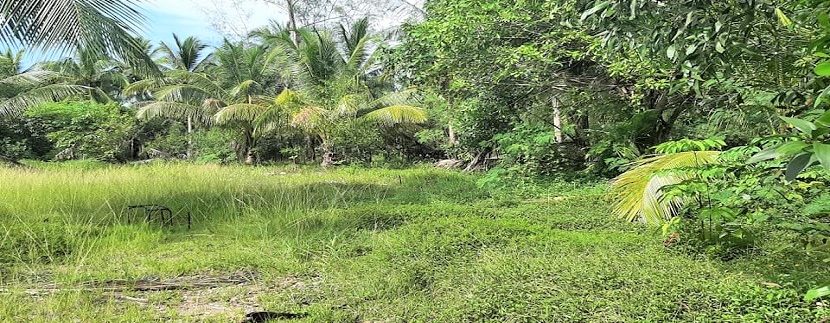 Seaside land for sale in Lipa Noi Koh Samui 022