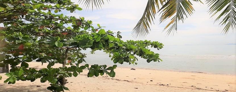 Seaside land for sale in Lipa Noi Koh Samui 027