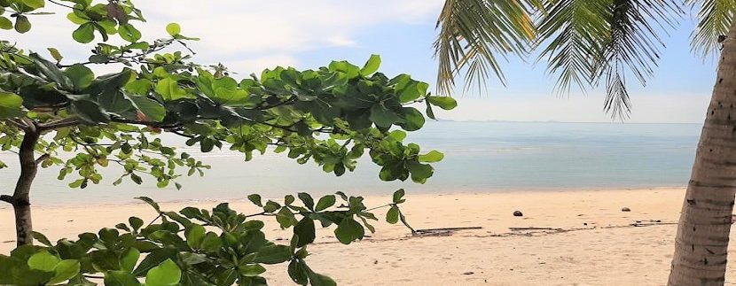 Seaside land for sale in Lipa Noi Koh Samui 028