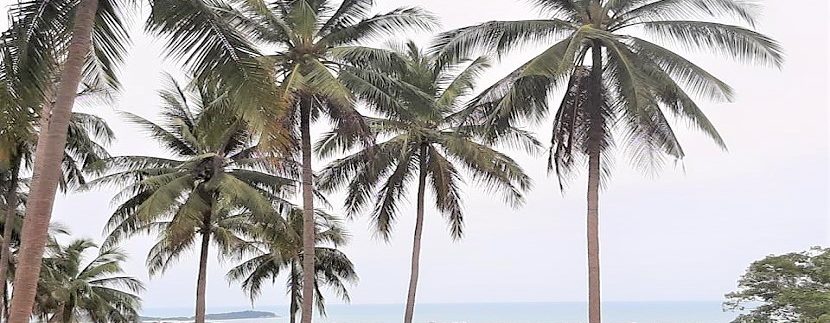 Sea view land at Chaweng Hill Koh Samui 02