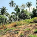 For sale land Soi 1 in Maenam Koh Samui