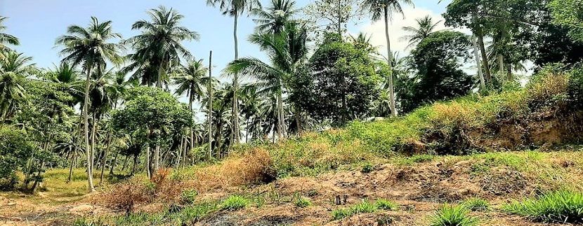 A vendre terrain Soi 1 à Maenam Koh Samui 01