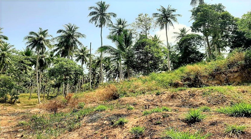 A vendre terrain Soi 1 à Maenam Koh Samui