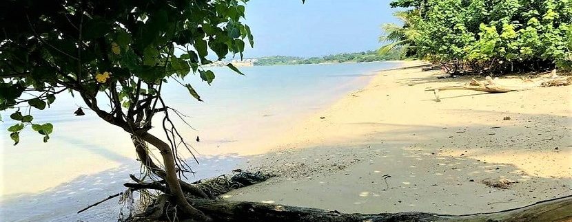 For sale land by the sea in Plai laem Koh Samui 02