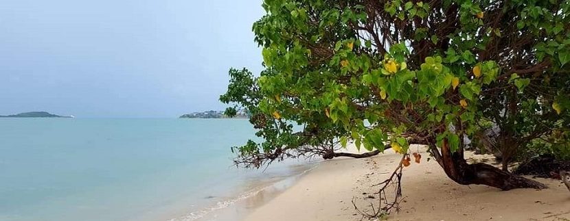 For sale land by the sea in Plai laem Koh Samui 07