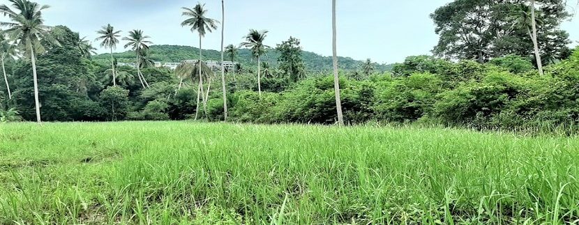 For sale flat land Bophut in Koh Samui 01