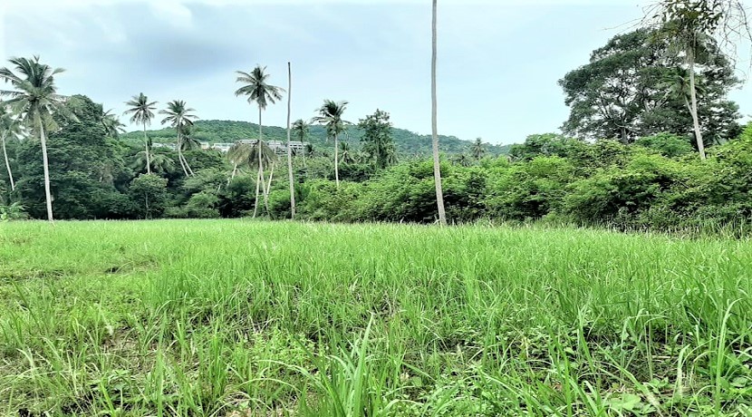 A vendre terrain plat Bophut à Koh Samui – 800 m² titre en Chanote