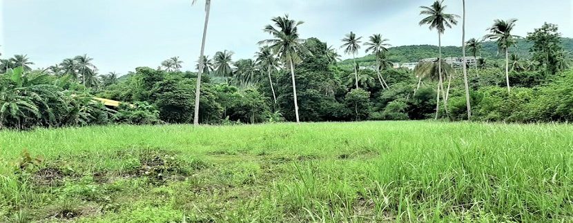 A vendre terrain plat Bophut à Koh Samui 02