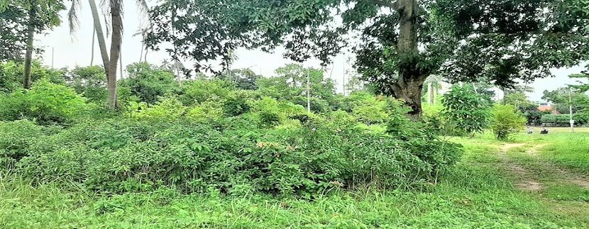 For sale flat land Bophut in Koh Samui 04