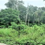 For sale flat land at Soi 1 in Maenam Koh Samui