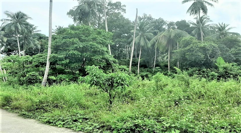 For sale flat land at Soi 1 in Maenam Koh Samui