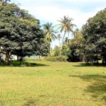 For sale flat land in Ban Tai Koh Samui