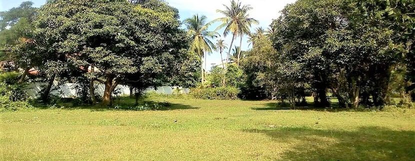 For sale flat land in Ban Tai Koh Samui 01