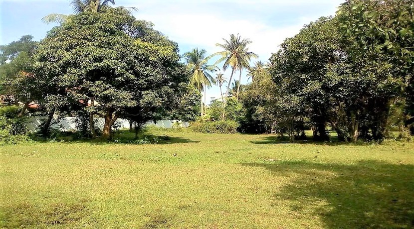 A vendre terrain plat à Ban Tai Koh Samui – 608 m² – 688 m² en Chanote