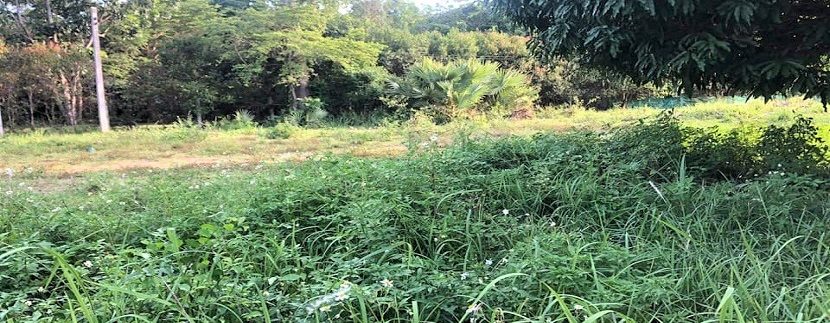 For sale flat land in Ban Tai Koh Samui 03