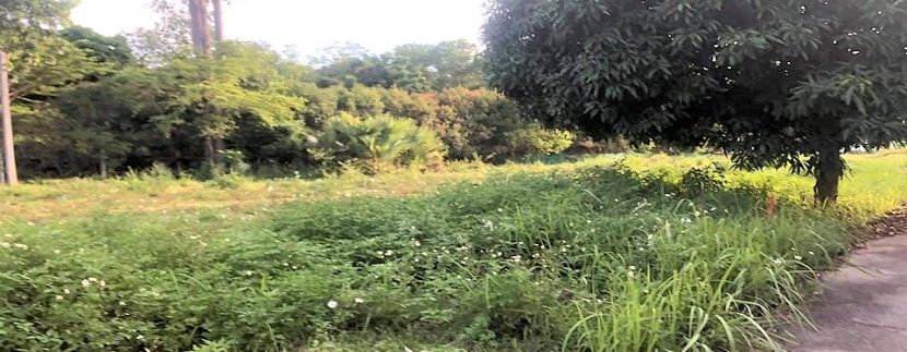 For sale flat land in Ban Tai Koh Samui 04